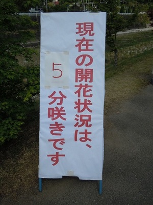 03 和気町　藤公園.JPG