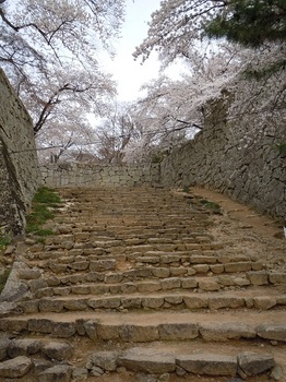 03 鶴山公園　裏門への階段.JPG