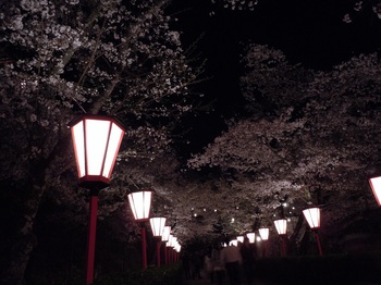 04 鶴山公園　夜桜　二ノ丸から弓櫓へ.jpg