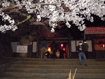 07 鶴山公園　夜桜　表門２.JPG