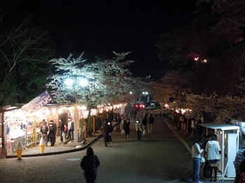 08 鶴山公園　夜桜　表門から見た入園通路.JPG