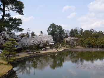 10 衆楽園　池と桜１.JPG